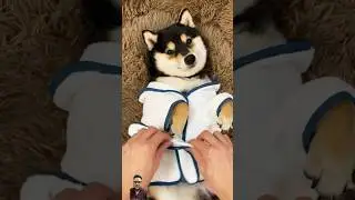 Manyu immersive body clean asmr 