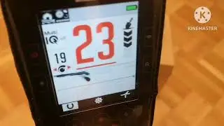 Minelab Manticore - скорость и маска