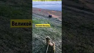 Барни посетил г.Великий Новгород 🚗🧸