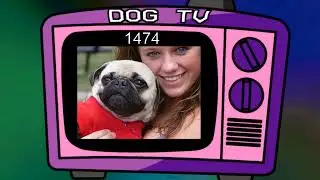 Twenty Thousand Pictures Of Dogs (20k subscribers special)