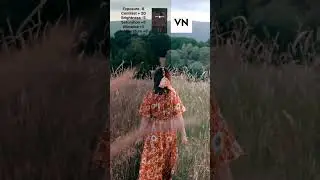 VN fast editing 