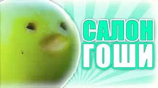 САЛОН ГОШИ (СТАРОЕ ВИДЕО)