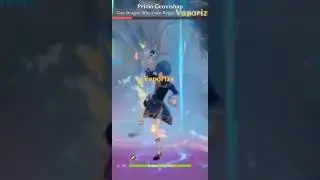Vaporize National Team | Genshin Impact