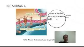 citologia 1