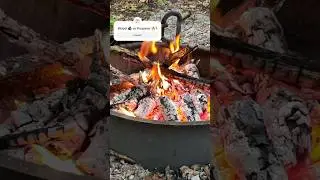 RVers: Wood or Propane for Campfires? 🏕️