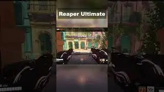 Nebula Reaper Team Kill