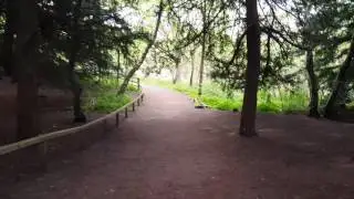 Sherwood forest - short walk
