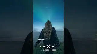 Amarin Amr Diab + English translation