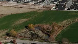 Autum in Boise