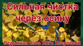 СИЛЬНАЯ ЧИСТКА ЧЕРЕЗ  ОСИНУ. ДЛЯ ВСЕХ. ВЕДЬМИНА ИЗБА. ИНГА ХОСРОЕВА.