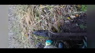 Коп металлолома, находки огонь, видно не для слабонервных, уберите от экрана детей.