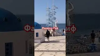 Шарм Эль Шейх 2025. Faraana Reef. 