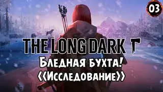 «БЛЕДНАЯ БУХТА» Лесные волки 🐺 и консервный завод в The Long Dark (Сталкер) №03