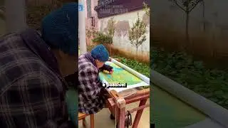 O SEGREDO Dessa ARTE IMPOSSÍVEL Foi REVELADO! (via: Douyin: 869493167, 888459619 & 1645713330)