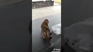 Прикол   😂😂😂😂😂