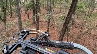 Bow hunting the marsh ghost aka (sika deer)