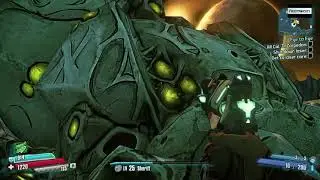 Borderlands TPS - booty salads