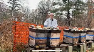 Discussion on Fall Beekeeper Burnout and What to Consider When Purchasing Oxalic Acid Vaporizer