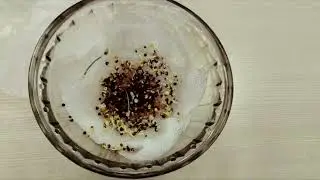 Выращиваем микрозелень просто! Урожай за 7 дней!