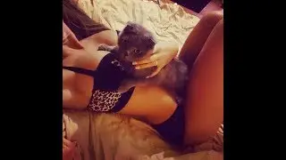 ОФИГЕТЬ! ЧТО ДЕВУШКА  ВЫТВОРЯЕТ С КОТОМ! СМОТРИ САМ.