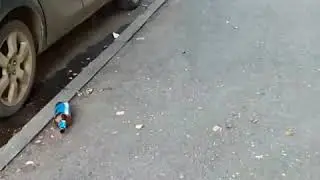 Мусор на улицах Костромы