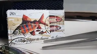 АСМР Почтовые Марки ФАУНА 🐠🦜🐎 ~ ASMR Postage Stamps Fauna  🐠🦜🐎