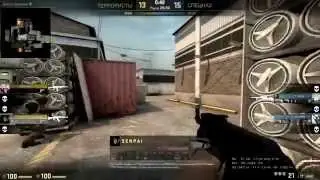 CS:GO - Ace с AK-47