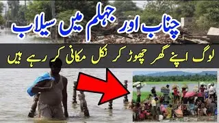 River Chenab and River Jhelum Flood latest update |Mangla dam | Head punjnad update