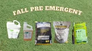 Fall preemergent herbicide applications for bermuda lawns