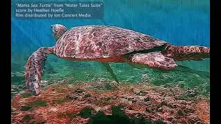 The Making of "Water Tales" - Heather Hoefle Interview