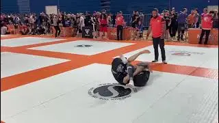 loss by ankle lock- ironically injured his ankle