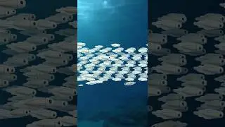 Shocking news?! Tynamo, the EleFish Pokémon, will be swimming into 