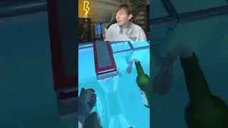 МОЛОТОВ В CS2 СТАЛ ЕЩЁ БОЛЕЕ НЕЛОГИЧНЫМ / ФАКТЫ О CS2