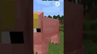 Zero gravity in Minecraft 