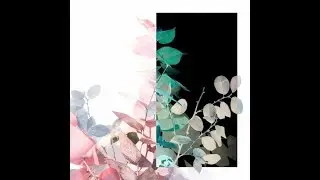 comfort - strength & beauty (+yandere)
