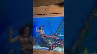 Quick mermaid photoshoot 