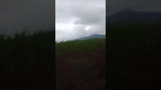 una gran neblina (2)