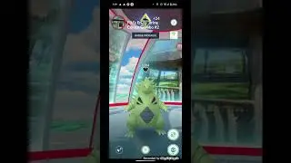 Ursaring Pulls Off the IMPOSSIBLE Against Tyranitar #shorts