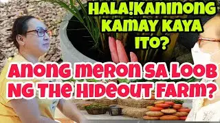 Halloween Pumpkin in The HideOut Farm at Wui Wo Island Hongkong #halloween#ofw #ofwhongkong #explore