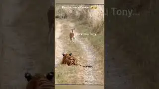 The Consequences