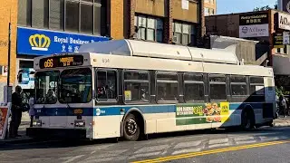 New York City Bus Compilation in Flushing Queens