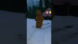 #аниматор