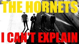 The Hornets - I Can't Explain (Live At Mr Wolfs, Bristol)