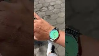 Часы для тех, кто любит собак❤️ Storm 47419/IC #watch #watches #dog