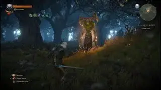 Witcher 3 - Geralt the Professional - PS5 🏆