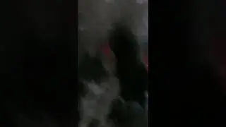 Проснулись?
