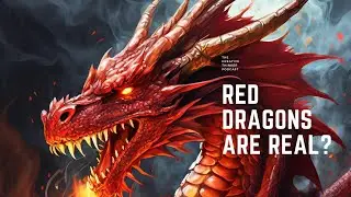 5e was wild for this - Red Dragons