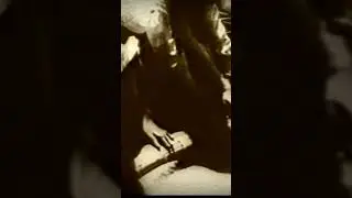 КАК ВСАДНИКИ ВОЙЛОК ВАЛЯЛИ
