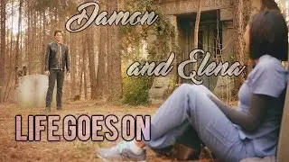 Damon/Elena - "And Life Goes On" (S01-S08)