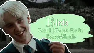 Birds | Part 1 | Draco Malfoy Story | FF | DracosClouds